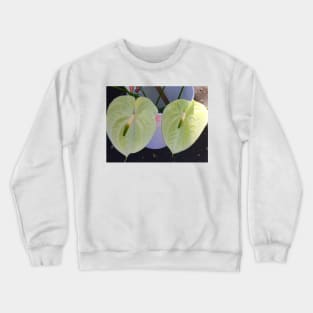 Flamingo Flower Crewneck Sweatshirt